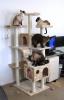 kitty-condo2.jpg