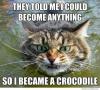 crocodilecat.jpg