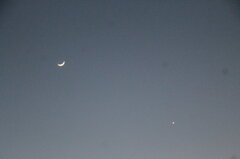 IMG_7274.JPG