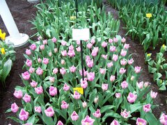 100_0102.jpg