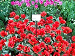 100_0103.jpg