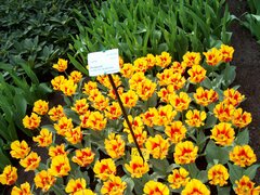 100_0104.jpg