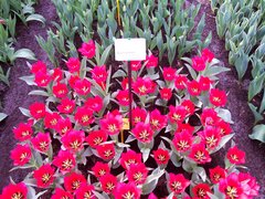 100_0106.jpg
