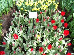 100_0107.jpg