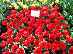 100_0108.jpg