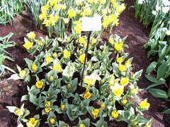 100_0109.jpg