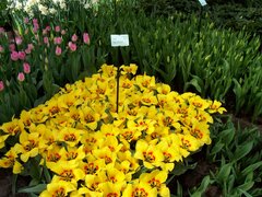 100_0110.jpg