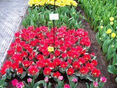 100_0111.jpg