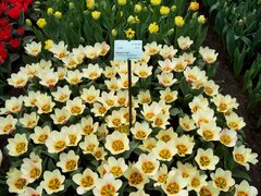 100_0112.jpg