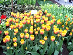 100_0113.jpg