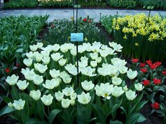 100_0115.jpg
