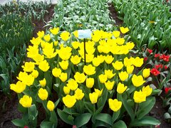 100_0116.jpg