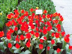 100_0117.jpg