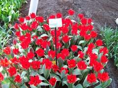 100_0119.jpg