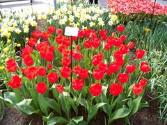 100_0120.jpg