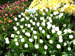 100_0121.jpg