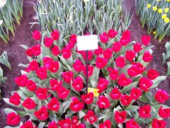 100_0122.jpg