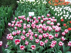 100_0123.jpg