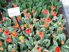 100_0127.jpg