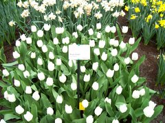 100_0128.jpg