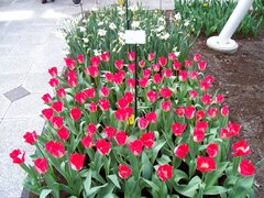 100_0129.jpg
