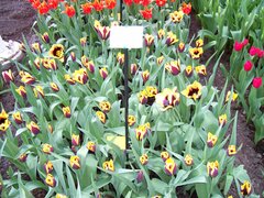 100_0131.jpg