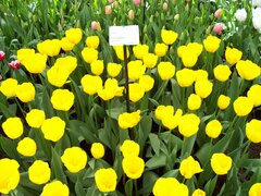 100_0133.jpg