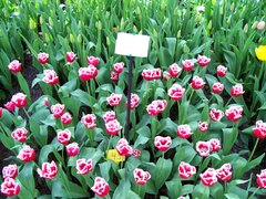 100_0134.jpg
