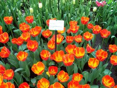 100_0135.jpg