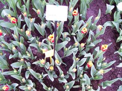 100_0136.jpg