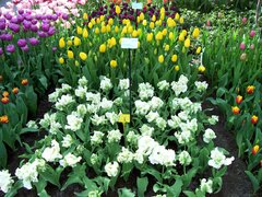 100_0137.jpg