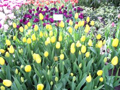 100_0138.jpg
