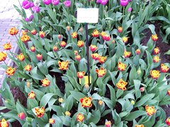 100_0139.jpg