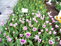100_0143.jpg