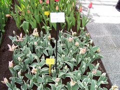 100_0144.jpg