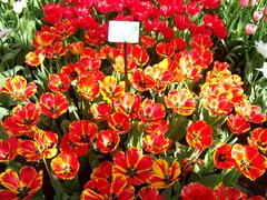 100_0147.jpg
