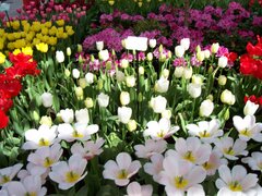 100_0148.jpg