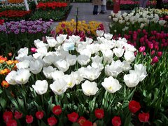 100_0149.jpg