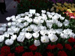 100_0150.jpg