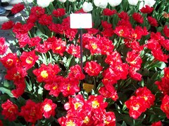 100_0151.jpg