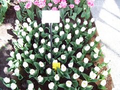100_0153.jpg