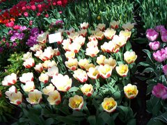 100_0155.jpg