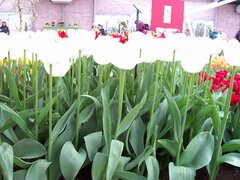 100_0156.jpg