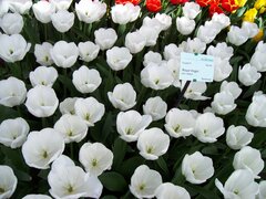 100_0157.jpg