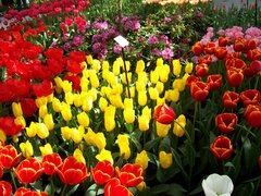 100_0159.jpg