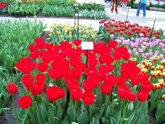 100_0160.jpg