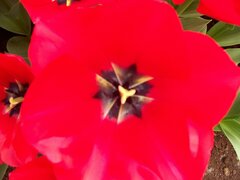 100_0161.jpg