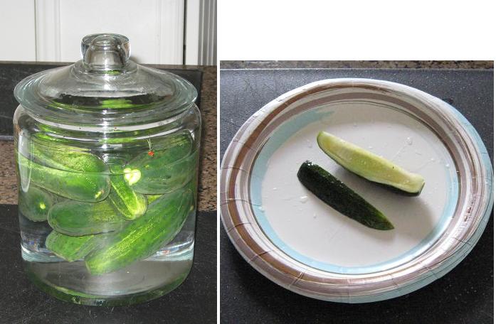 pickles3.jpg
